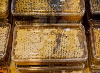 Sweet fresh honey in the sealed comb frame