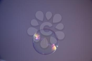 Blown single soap bubble in  the air