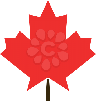 Maple leaf it is color icon . Simple style .