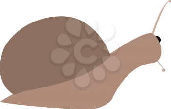 Snail silhouette icon . Different color . Simple style .