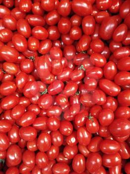 Tomatoe Stock Photo