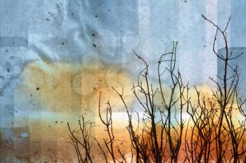 Vintage worn photograph of leafless tree branches. Abstract illustration.