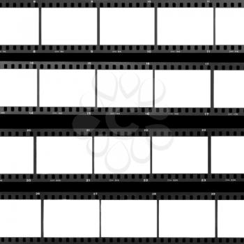 Blank film frames overexposed contact sheet analog filmstrip background.