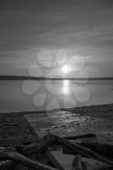 Luminous light envelops everything as the sun sets over the Puget Sound. Black and white image.