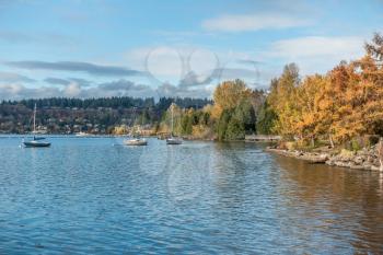 Boats are anchored in front of Coulon Park in Renton, Washington.