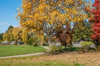 A view of a park in Burien, Washington in Autumn.