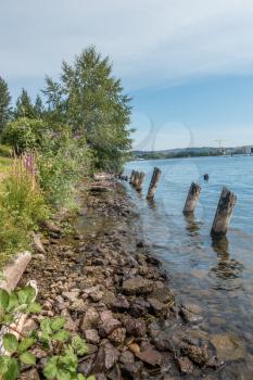 Old pilings line the shore at Coulon Park in Renton, Washington.
