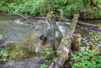 Logs lay across the Des Moines creek in Washington State.