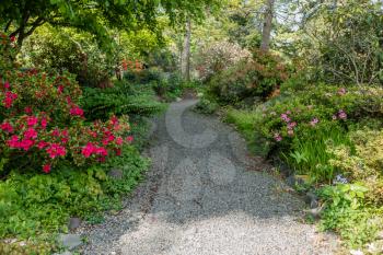 A path is surrounded by flowers and plants in Seatac, Washington.