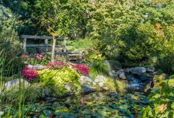 A landscape shot of a garden pond in Seatac, Washington.