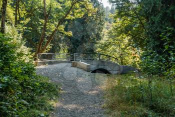 A view of a bridge at Falming Geyser State Park in Washington State.