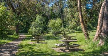 A view of picnic table at Lincoln Park in West Seattle, Washington.