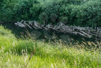Old wooden piling line the bank of the Green River in Kent, Washington.