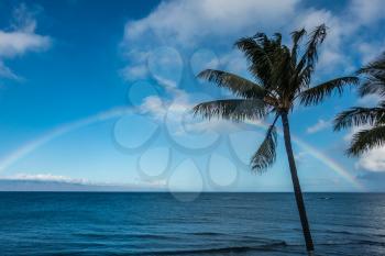 A view of a rainbow over the ocean in Maui, Hawaii.