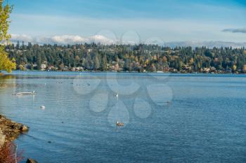 A view of Mercer Island from Seward Park in Seattle.