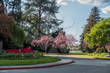 A view of Spring flowers near the entrance to Seward Park in Seattle, Washington.