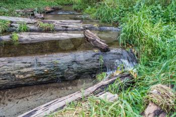 A stream flows over driftwood logs at Seahurst Beach Park in Washington State.