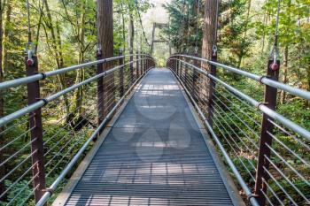 Aview of a suspension bridge surrounded by trees in Bellevue, Washington.
