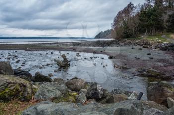 A stream flows across the Des Moines, Washington shoreline into the Puget Sound. Phote taken in January.