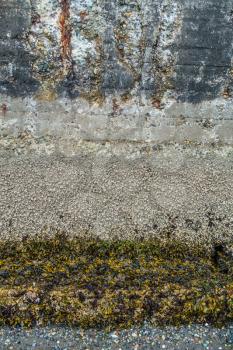 A macro shot of a sea wall. Texture or background.