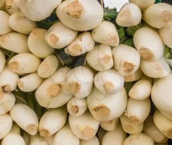 Closeup shot of bunches of white onions for sale at a farmers market. Backgroun or texture