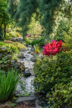A creek flows through a garden at Seatac, Washington.