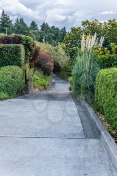 A view of a driveway with decorative plants in Washington State.