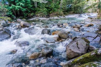Rocks and trees line Denny Creek in Washington State.