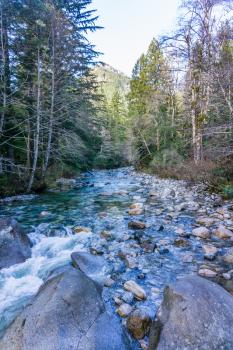 A view of Denny Creek in Washington State.