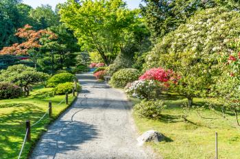 A view of a walkway in a garden in Seattle, Washington. It is springtime.