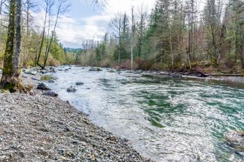 The Green River flows past trees at Kanaskat-Palmer State Park in Washington State.