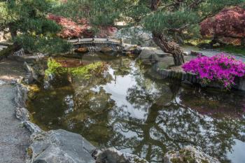 A view of a Japanese garden pond and walking bridge in Seatac, Washington.