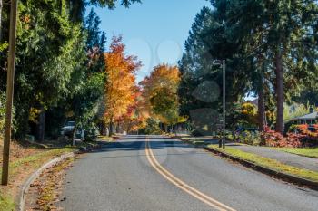 A street in Burien, Washington leads toward Autumn trees.