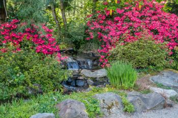 A landscape shot of a small waterfall and bright red flowers in Seatac, Washington.