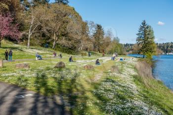 People enjoy the Spring at Seward Park in Seattle, Washington
