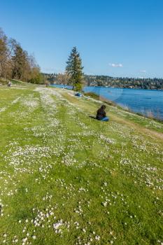 People enjoy the Spring at Seward Park in Seattle, Washington