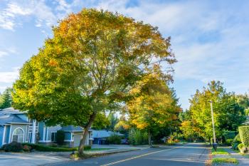 A view of a street in Burien, Washington in the autumn.