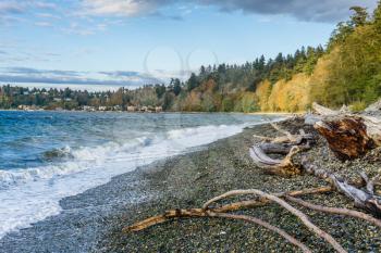 An autumn view of the shoreline at Lincoln Park in West Seattle, Washington.