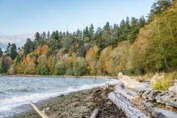 An autumn view of the shoreline at Lincoln Park in West Seattle, Washington.