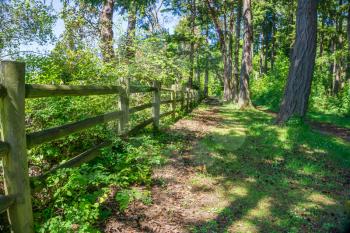A view of a wooden feance and path at Saltwater State Park in Washington State.