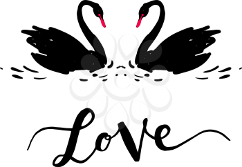 Inscription Love a couple of black swans. Romantic lettering