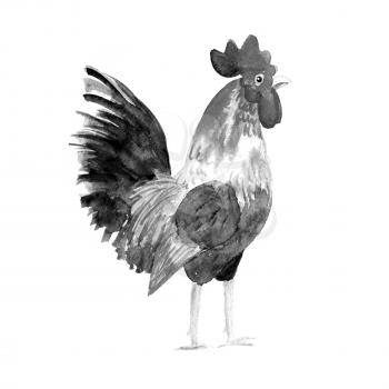 Rooster symbol 2017. White and black, monochrome Watercolor illustration. Fashionable print on t-shirts, bags, cases for smartphones, textiles, fashion design