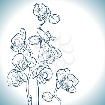 orchid isolated on white  painted hands, vector