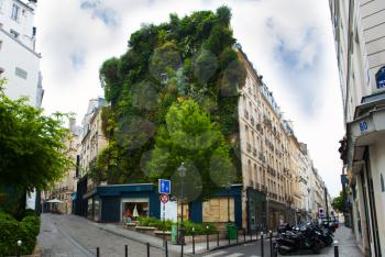 trees and plants over palace in paris. france