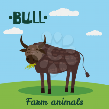 Cute Bull farm animal character, farm animals, vector illustration on field background