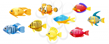 Funny fish vector characters. Colorful coral reef tropical fish set vector illustration. Sea fish collection isolated on white background.
