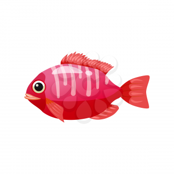 Tropical exotic coral fish, bright colorful coloring