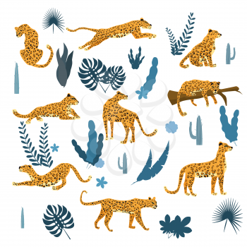 Set of leopards in various poses, plants, flowers, exotic, graphic cute trend style, mammal predator, jungle