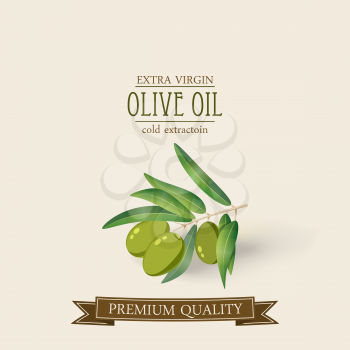 Olive oil label pattern, vector isolated