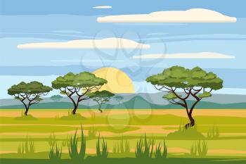 African landscape, savannah, sunset vector illustration cartoon style